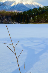 It's going to get bigger, so take a look!