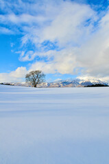 Winter, blue sky, and snowy landscape