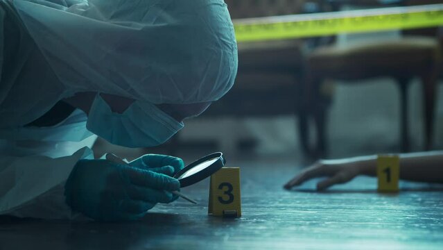 Detective Collecting Evidence in a Crime Scene. Forensic Specialists Making Expertise at Home of a Dead Person. Homicide Investigation by Police Officer.