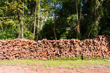 Pile of wood logs in the countryside of Tres Coroas, Rio Grande do Sul - Brazil