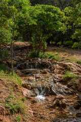 Parod or Farod Falls in northern Israel is a beautiful place to hike in the Winter and Spring.
