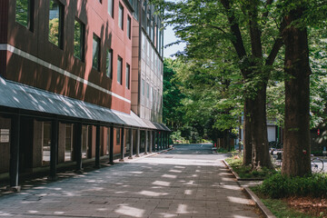 東京大学 休日の本郷キャンパス