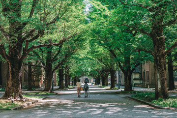 東京大学 休日の本郷キャンパス