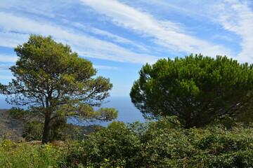 Obraz premium looking from the green landscape to the sea in Spain at the mediterean sea.