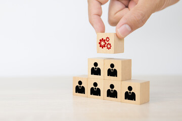 Hand choose gear icon on cube wooden toy block stack with people icon for business team creative thinking and human resources or person leader and teamwork or leadership team player.