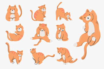 Playful cute fat cats item cartoon characters illustrations cat set, happy fluffy kittens