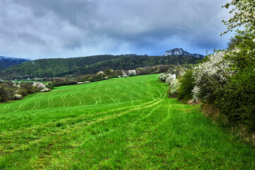 Fototapeta na wymiar Spring mountain landscape after rain. With dramatic cloudy sky. Water evaporating off the forest. Blooming trees Nature background. Vrsatec, Slovakia