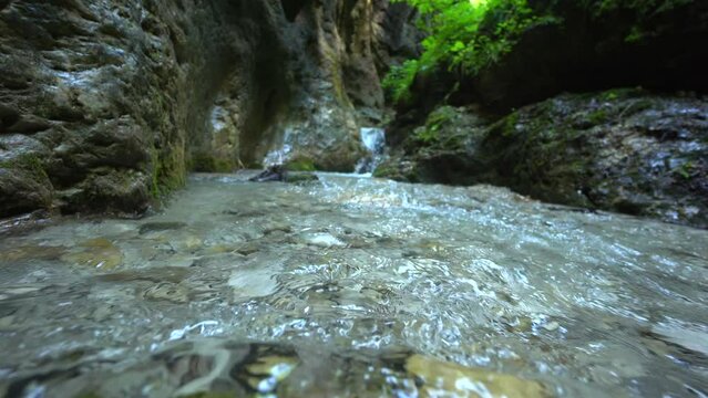 Jungle. Nature. Cold water from mountain moves between cliff in forest. Stream of pure water from low andle. Waterfall.