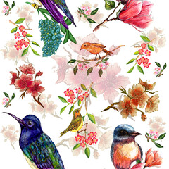 Watercolor seamless pattern with blooming branch of cherry,magnolia and birds, Hummingbird on Hydrangea flowers,on white background. 