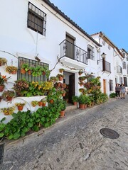 Fototapeta na wymiar Flores en las puertas de un pueblo blanco de Andalucía, Grazalema. 