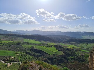 Paisajes de la vega de Ronda en primavera