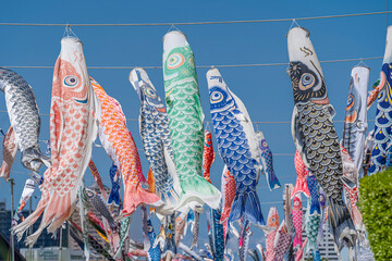 青空に泳ぐ色とりどりの鯉のぼり　こどもの日　隅田川テラス