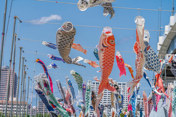 青空に泳ぐ色とりどりの鯉のぼり　こどもの日　隅田川テラス