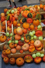 citrouilles, légumes