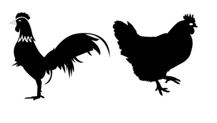 Monochrome color silhouette of a rooster and hen