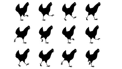 Set of rooster silhouette, hen, monochrome color
