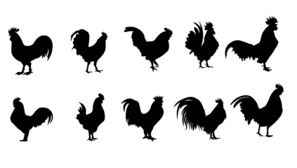 Set of rooster silhouette, hen, monochrome color