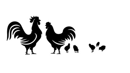 Monochrome color silhouette of a rooster, hen and chick