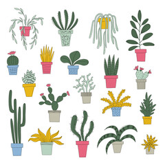 Fototapeta na wymiar Potted plants illustrations set. Hand drawn succulents and house plants. Doodle style illustration