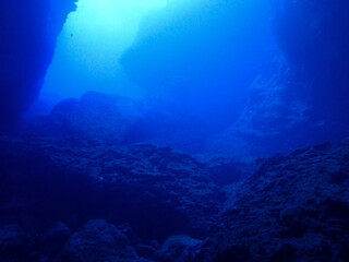 Fototapeta na wymiar Underwater in Saipan, Mariana Islands
