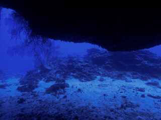 Underwater in Saipan, Mariana Islands