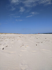 Littered white sand beach