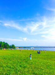 美しい青空と緑のある公園ではしゃぐ子供や家族連れ