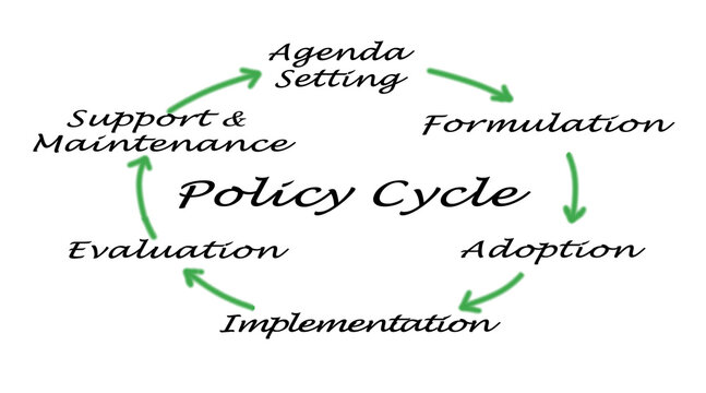 Six Components of Policy Cycle