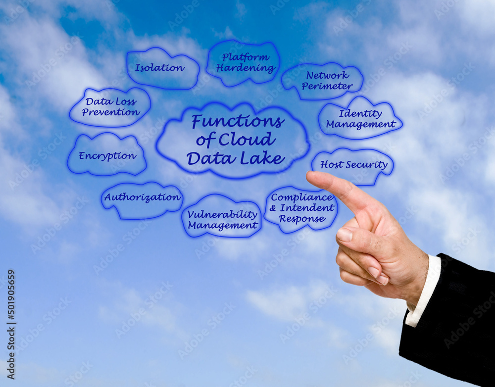 Wall mural functions of cloud data lake