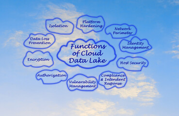 Functions of Cloud Data Lake