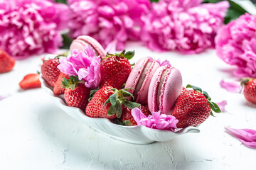 pink macaron or macaroon cakes with peony rose on a white background. Banner, flyer, beautiful postcard, top view