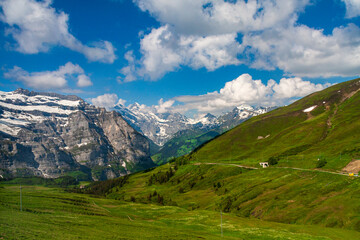View of snow in the mountain with green grass in summer on a sunny day in switzerland, grinelward