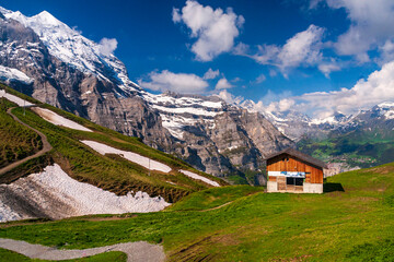 Fototapeta na wymiar View of snow in the mountain with green grass in summer on a sunny day in switzerland, grinelward