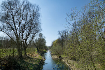 Old Rhine and floodplain forests in spring near Leopoldshafen, Germany