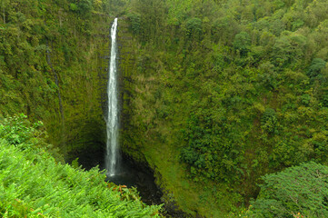 Waterfall in the jungle, horizontal, Akaka Falls, Big Island, Hawaii