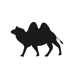 Camel icon symbol vector illustration.