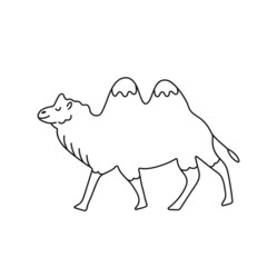 Camel icon symbol outline vector illustration.