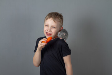 A blond Caucasian boy eats a healthy vegetable carrot with a pet gray rat on his shoulder on a gray background