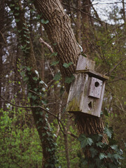 Bird house 2