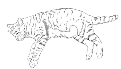 横になっている猫のベクターイラスト