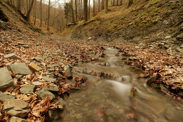Forest stream in Poland. Its name: Szeroki Potok, City: Jaworze. Diffused water (long exposure...