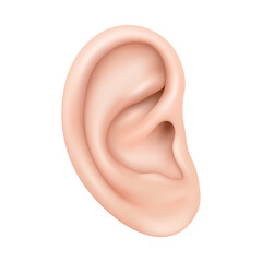 Realistic human ear isolated on white background. Human ear organ hearing health care closeup 3d realistic isolated icon design vector illustration - obrazy, fototapety, plakaty