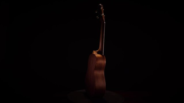 Ukulele on black background
Ukulele na czarnym tle