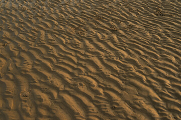 Sunset on the beach on the French opal coast with sea and sand with structures. Copy space. Horizon