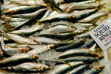 fresh fish at the market