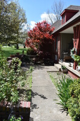 Naklejka premium Patio of a House