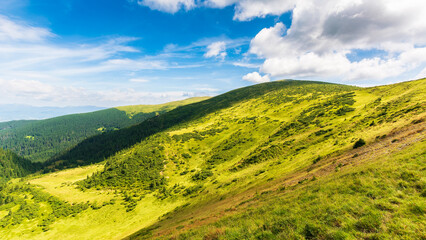 Fototapeta na wymiar natural summer landscape with mountain valley. idyllic outdoor scenery of carpathian alps with fresh green meadows. warm sunny weather with gorgeous fluffy clouds on a blue sky