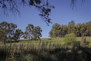 Obraz premium Quequen salado