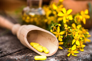 St. John's wort. herbal medical pills. Hypericum plants yellow flower used in alternative medicine...
