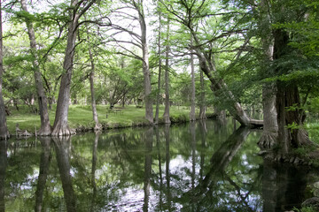 Cypress Creek located in Wemberly, Texas